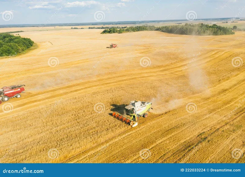 Fertilizer, Flour, and Fingerprints: Following Belarus's Farm Exports Through the Sanctions Maze